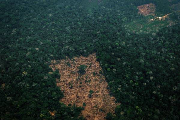 9 أشياء جعلت الأمازون رئة الأرض وأكبر موانئ التنوع البيولوجي