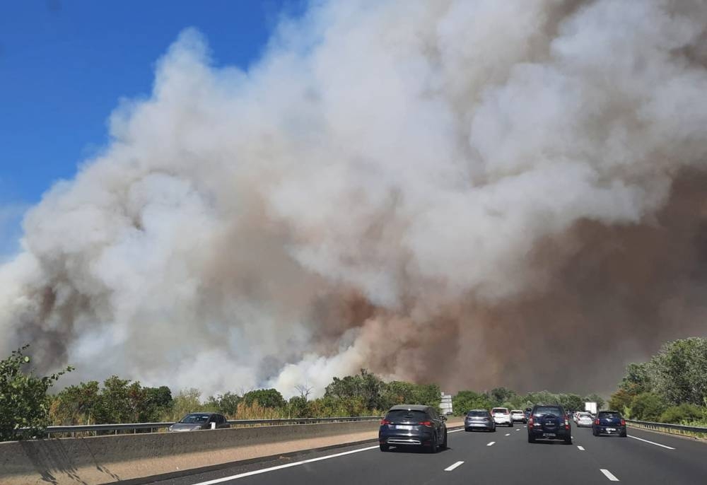 31 July 2022, France, Aubais: Thick white smoke rises from a forest fire next to a highway. Several firefighters have been injured fighting the blaze, which has already destroyed 250 hectares of forest, according to Franceinfo broadcaster. Photo: Benjamin Galy/AFP/dpa