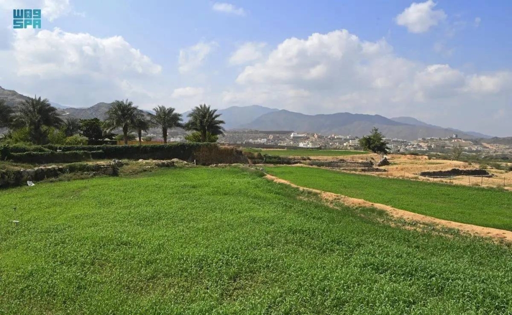 حسابات وهمية تستغل الراغبين في دعم ريف