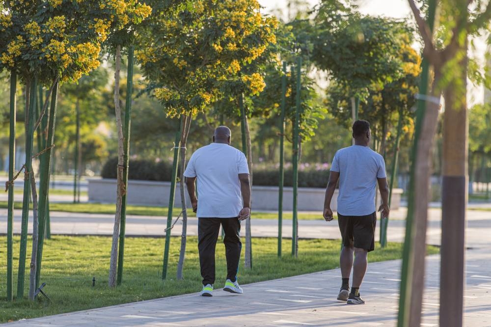 50 ألف شجرة أكاسيا تغطي شوارع المدينة