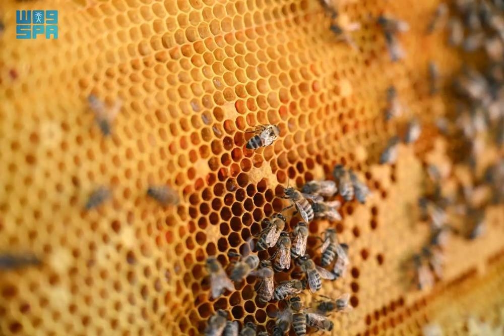 7786 طن إنتاج العسل بالمناطق