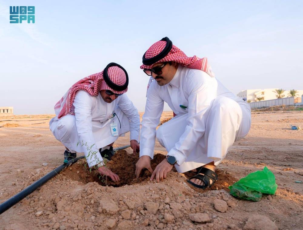 629 ألف شتلة بحفر الباطن