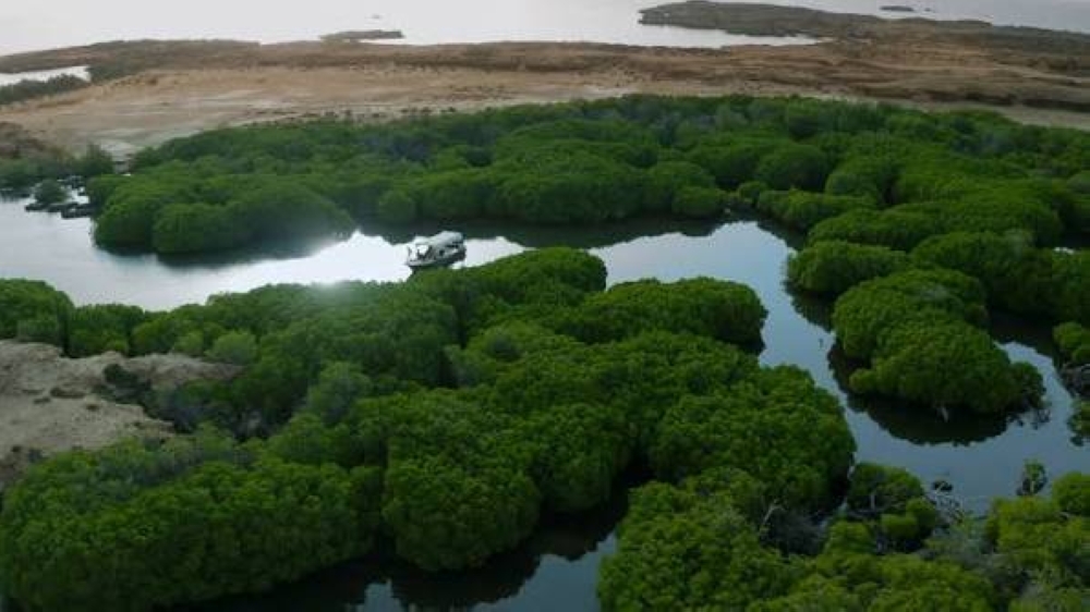 1.6 مليون سائح زاروا جازان في 180 يوما