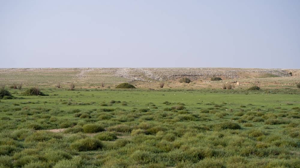 تأهيل 4.7 ملايين هكتار من أراضي الفياض والرياض 