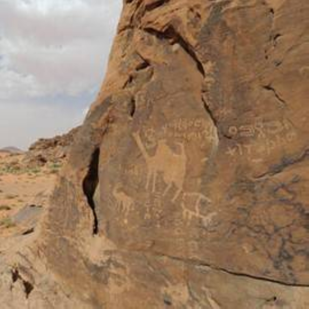 الرسومات الصخرية في حائل نافذة على ماضٍ سحيق 