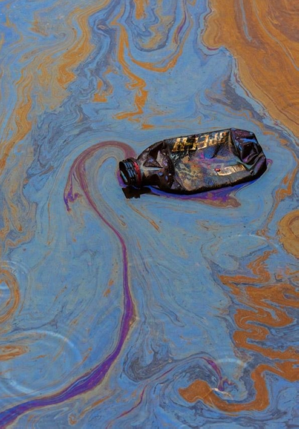 جوائز عالمية تحتفي بروائع التصوير 