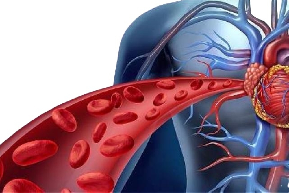 جازان الأعلى ومكة الأخطر.. %6.5 من البالغين مصابون بضغط الدم 