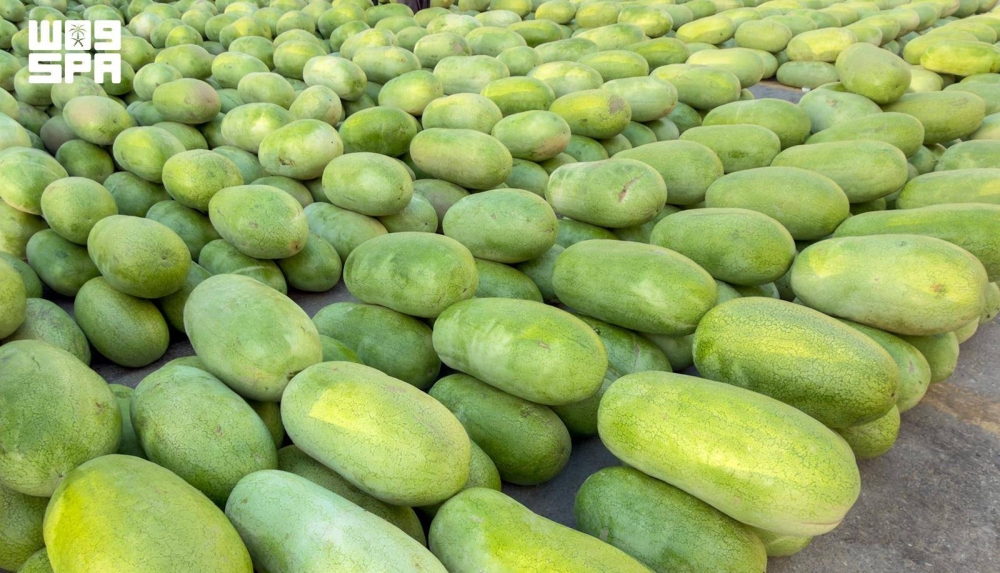 الحبحب ينعش أسواق بريدة 