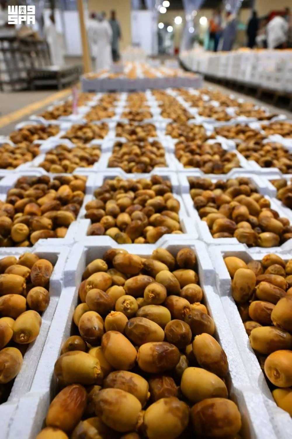 بدء موسم الرطب بالمدينة 