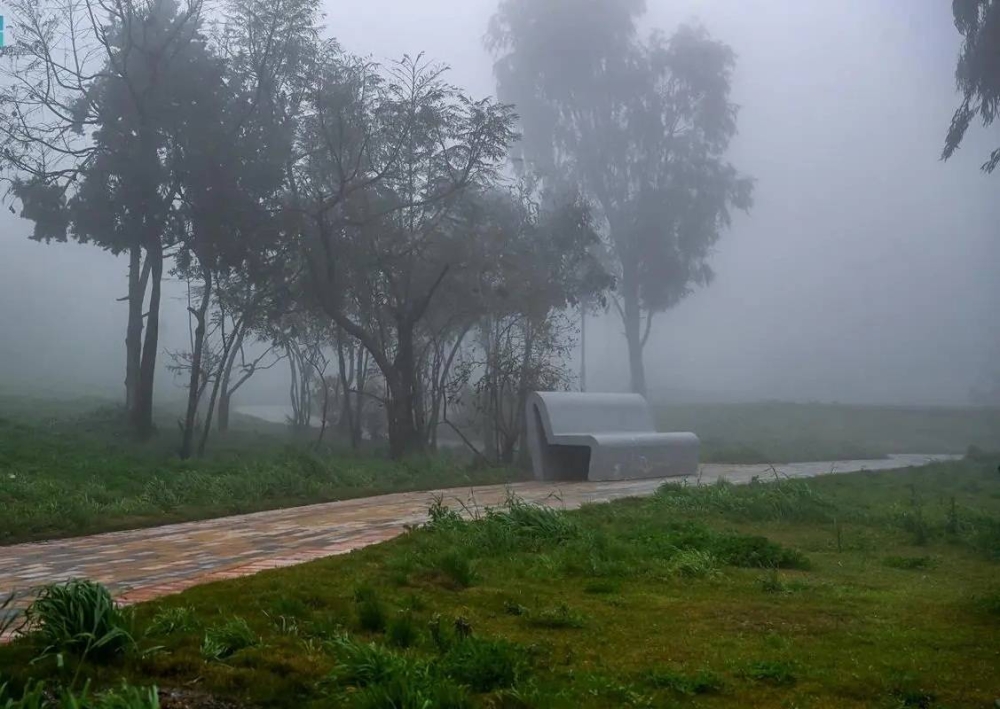 صورة الخبر